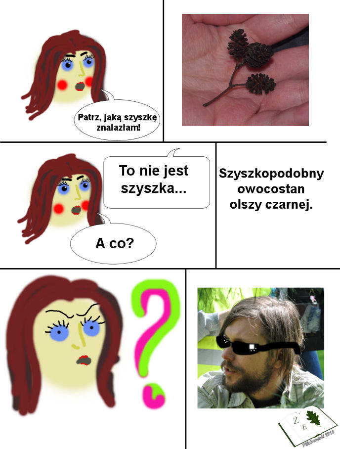 szyszko olcha edu