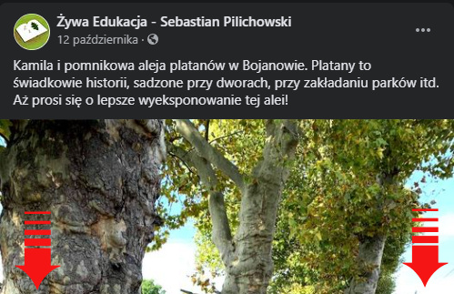 postzspt td platan prev