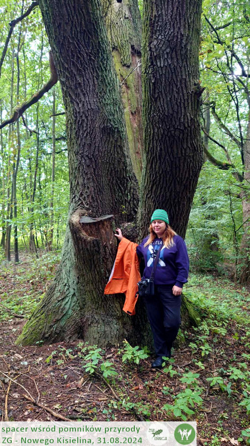 31 08 2024 spacer wśród pomników przyrody Nowego Kisielina (Zielona Góra) - Żywa Edukacja - Sebastian Pilichowski, Fundacja Wild and Safe