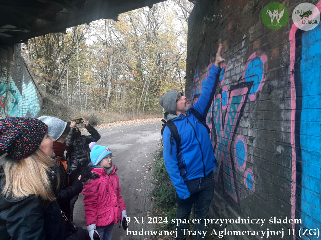 spacer Trasa Aglomeracyjna II Fundacja Wild and Safe Żywa Edukacja Sebastian Pilichowski Miejski Druid 9.11.2024