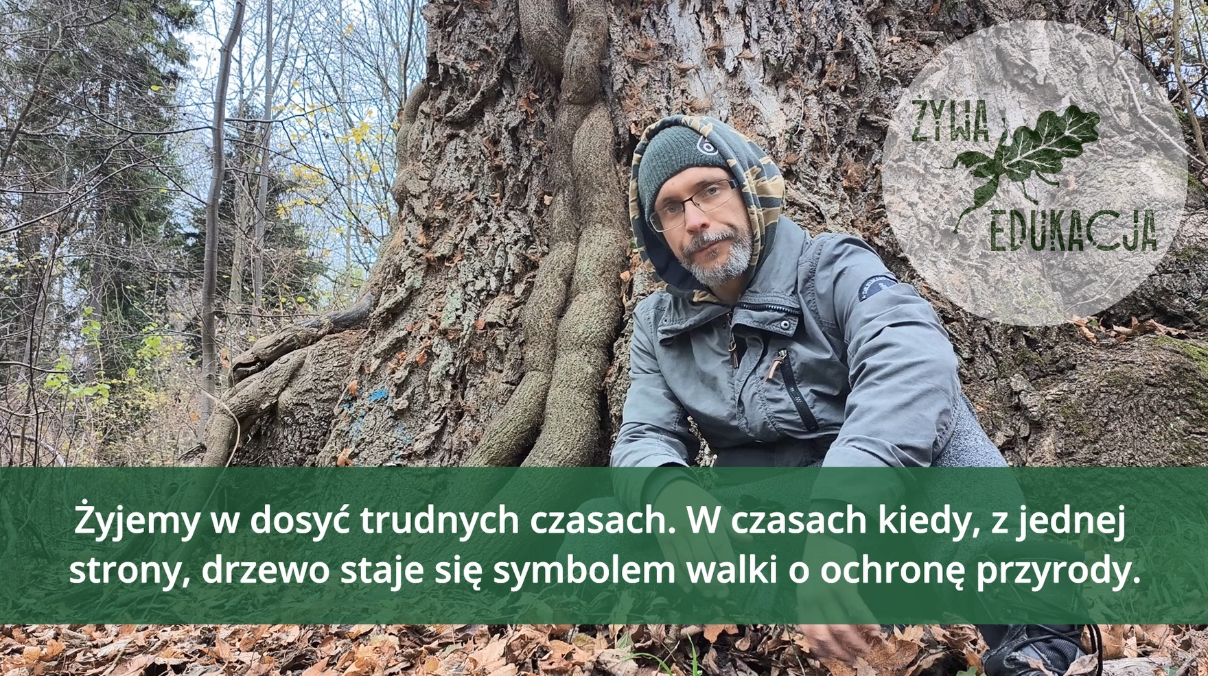 drzewo zakladnik screen