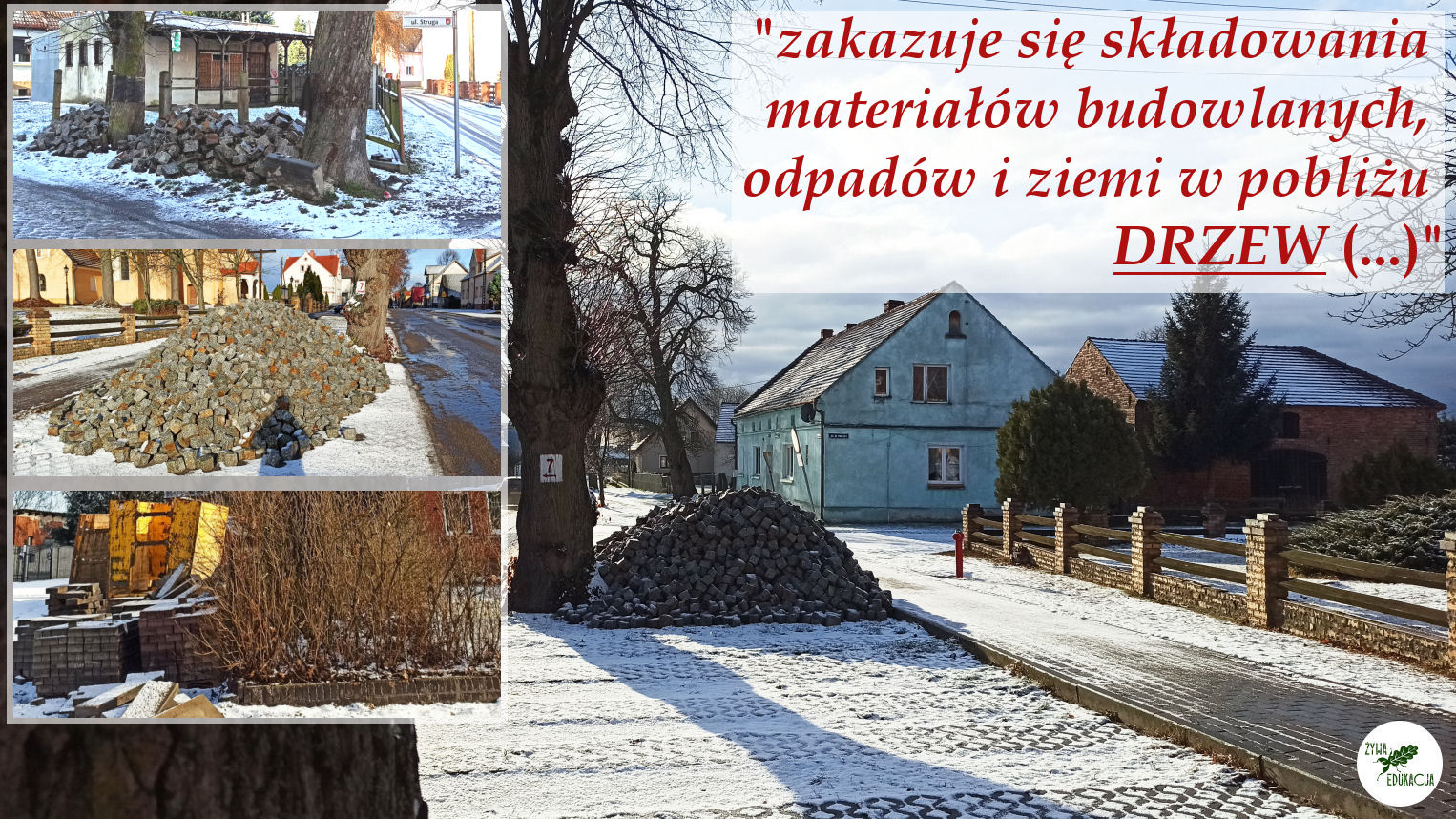 niedoradz drzewa zasypane korzenie