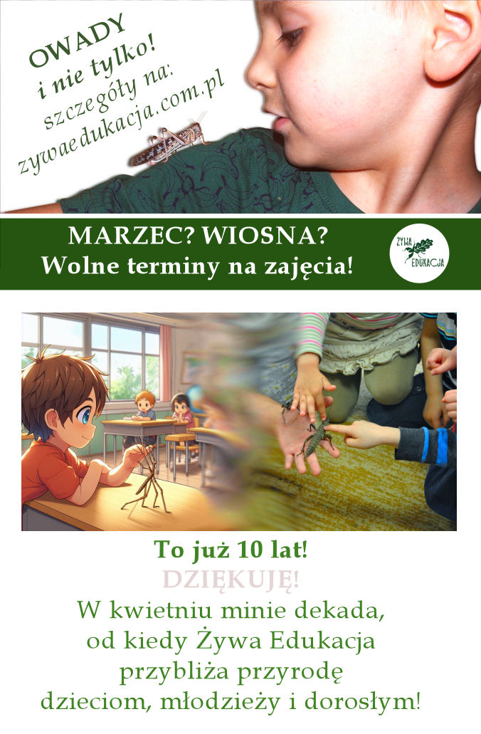 10 lat żywej edukacji refleksje przyrodnicze blog przyrodniczy sebastian pilichowski