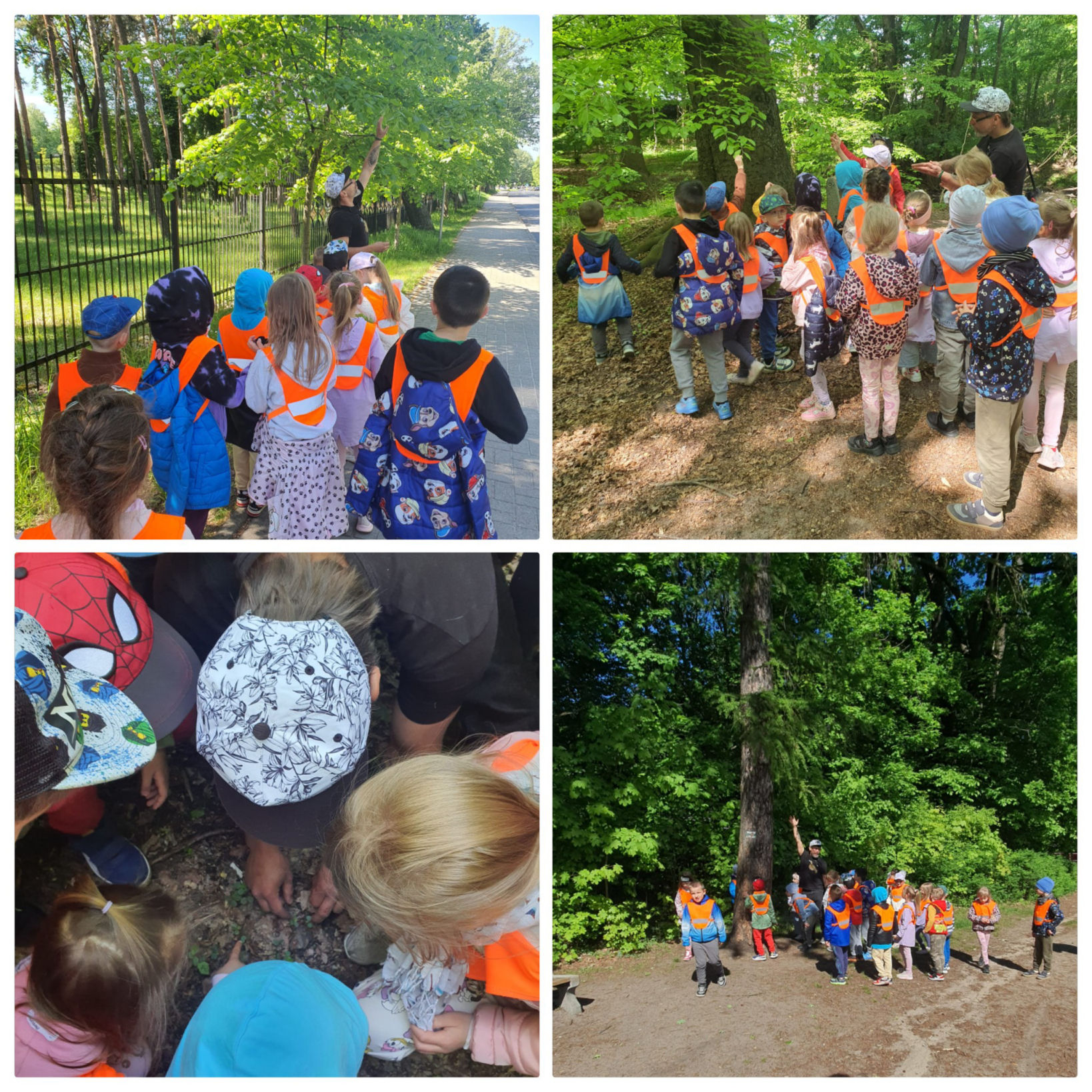 spacer z przedszkolakami po Parku Poetów w Zielonej Górze; lekcja przyrodnicza dla dzieci w lesie i parku