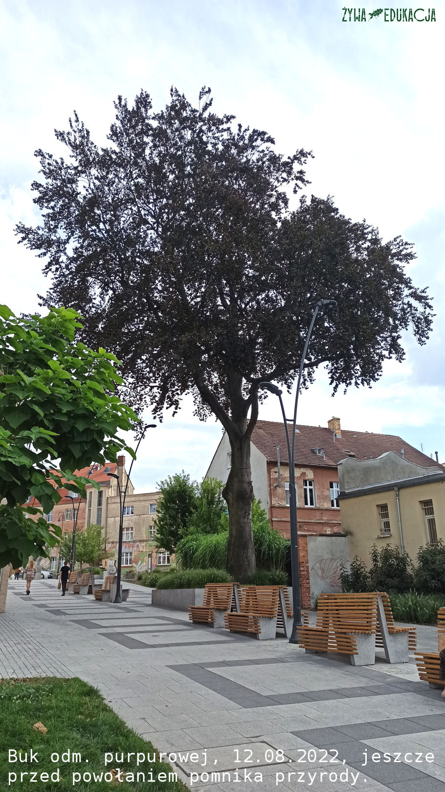 12.08.22 Buk Stanisław jeszcze przed uchwaleniem