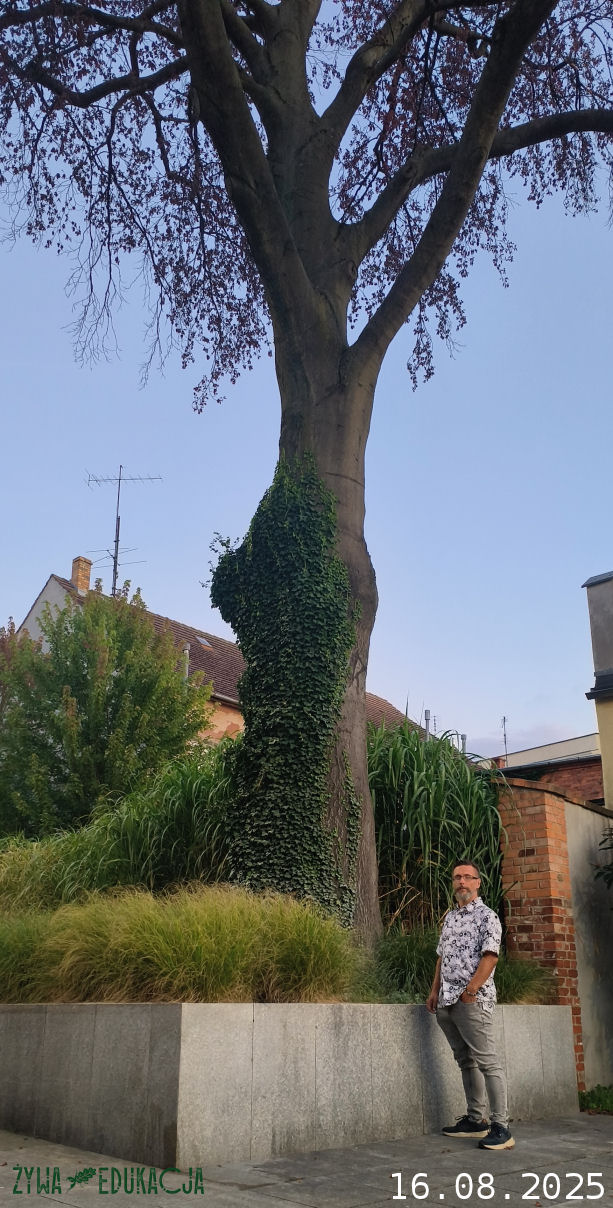 16.08.25 pod Bukiem Stanisław