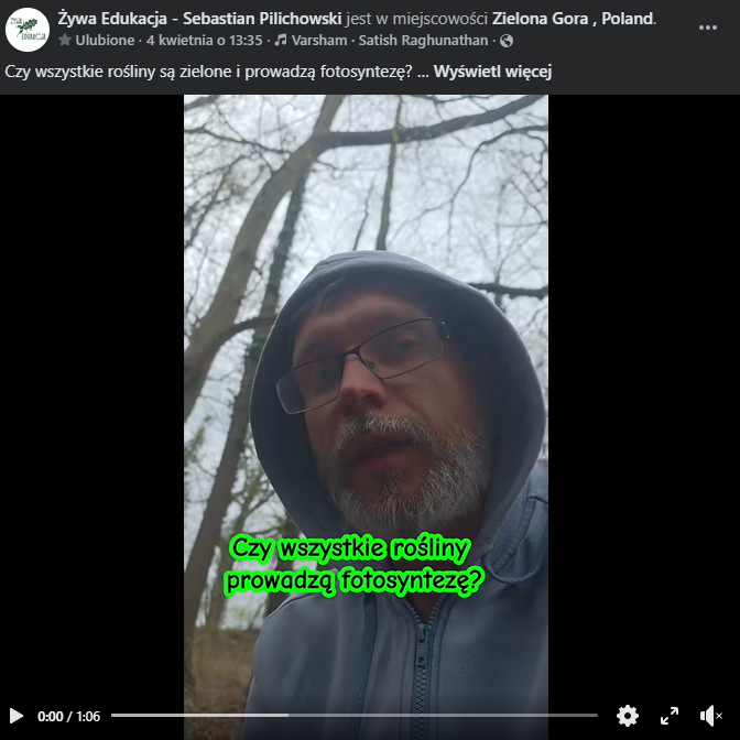 łuskiewnik różowy w Parku Poetów w Zielonej Górze i Sebastian Pilichowski Miejski Druid