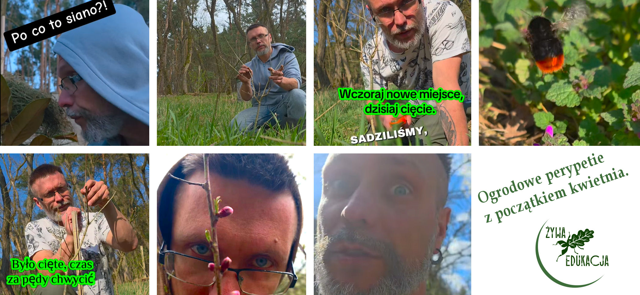 ogrodowe perypetie, czyli co może się wydarzyć w ogrodzie z końcem marca i poczatkiem kwietnia