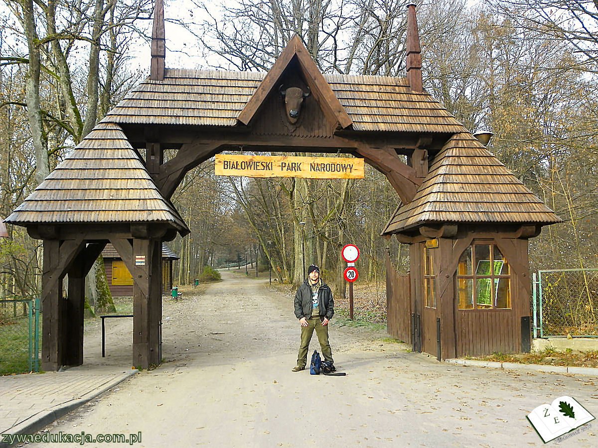 15112011bialowieza brama