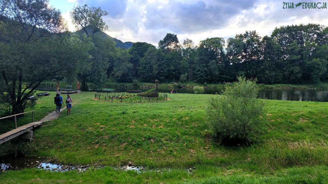 Szczawnica zwierzęta kwietniki