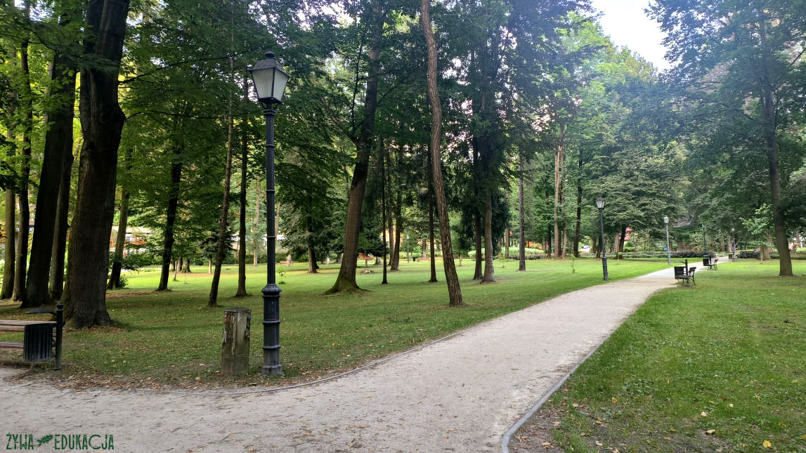 Szczawnica Park Dolny