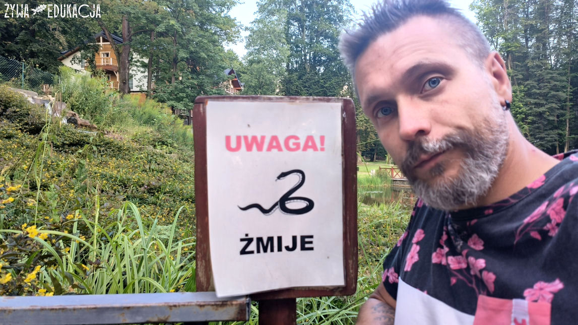 Szczawnica Park Dolny żmije