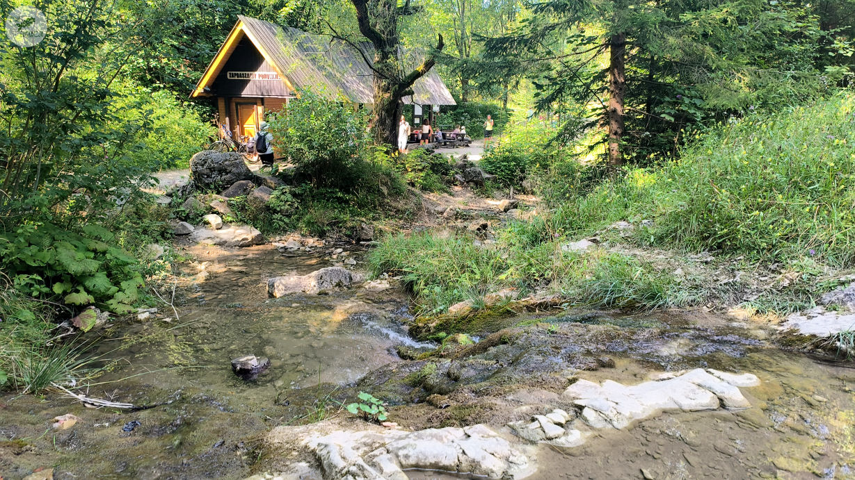 wąwóz homole małe pieniny żywa edukacja sebastian pilichowski
