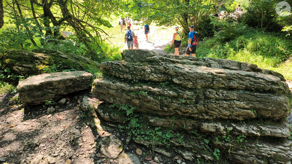 wąwóz homole małe pieniny żywa edukacja sebastian pilichowski