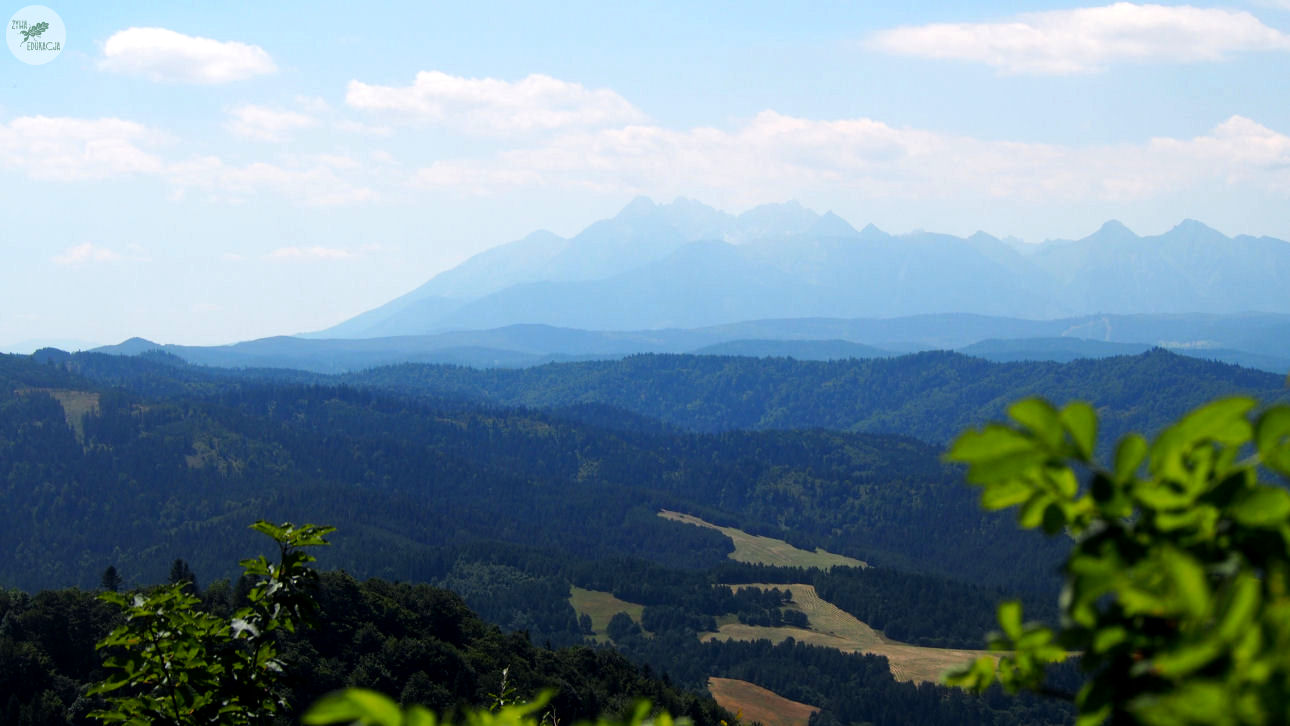 małe pieniny góra wysoka homole sebastian pilichowski żywa edukacja