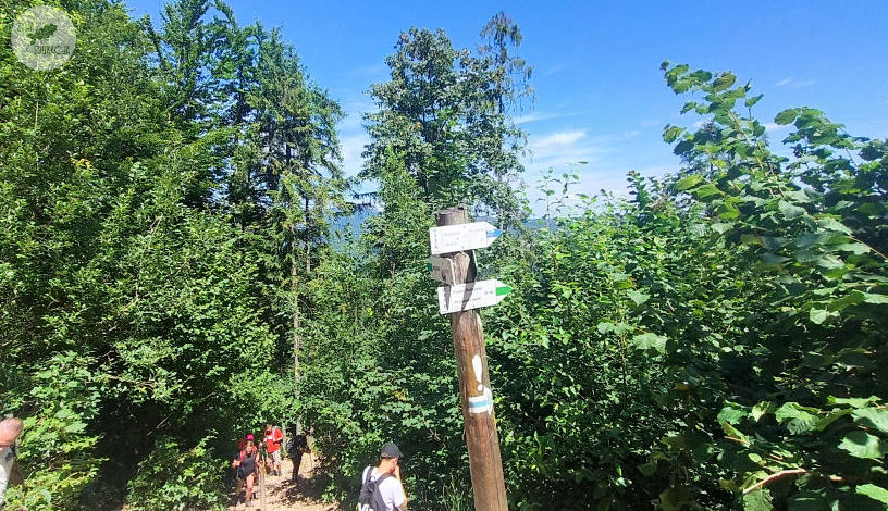 małe pieniny góra wysoka homole sebastian pilichowski żywa edukacja