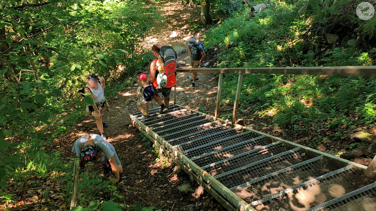 małe pieniny góra wysoka homole sebastian pilichowski żywa edukacja