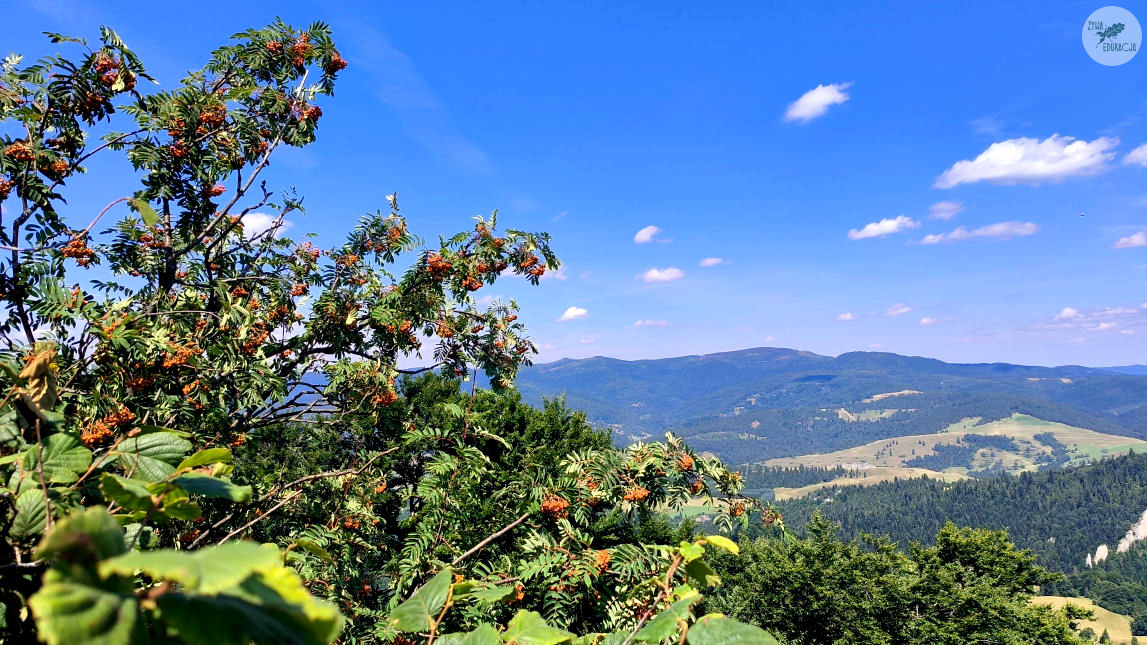 małe pieniny góra wysoka homole sebastian pilichowski żywa edukacja