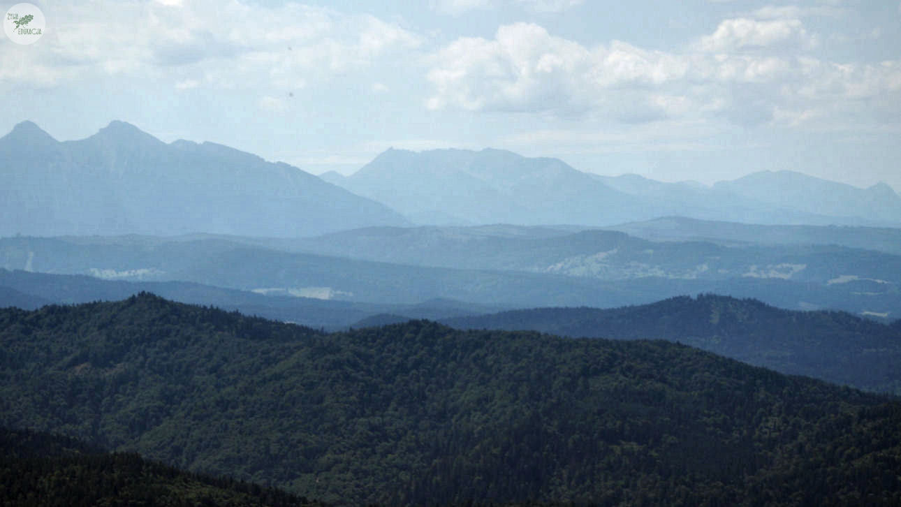 małe pieniny góra wysoka homole sebastian pilichowski żywa edukacja