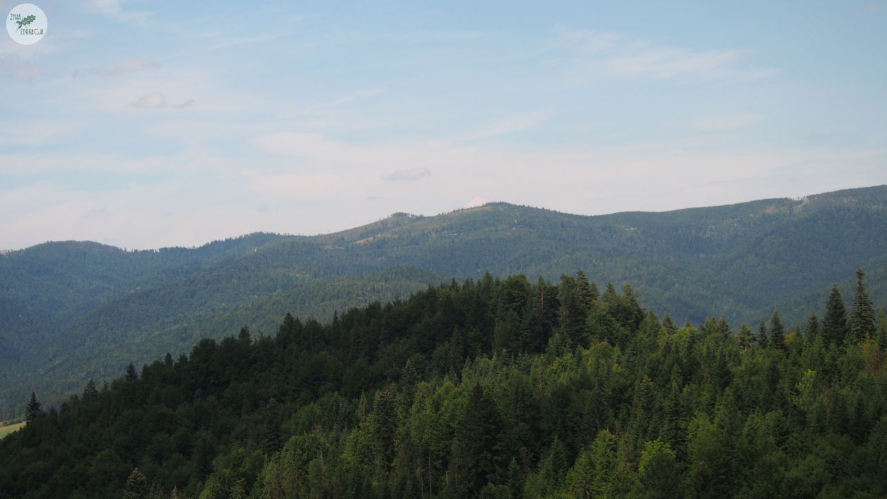 małe pieniny góra wysoka homole sebastian pilichowski żywa edukacja