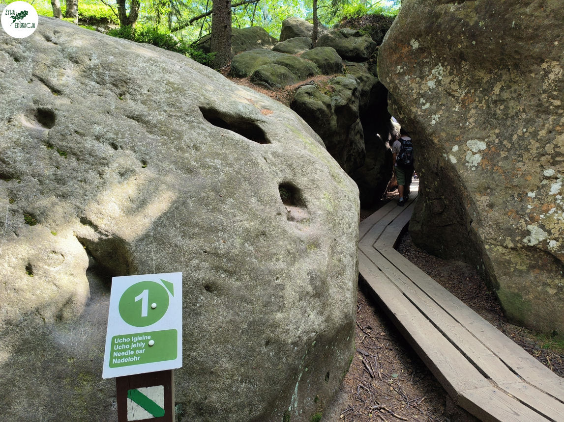 galeria Szczeliniec Wielki lipiec 2023