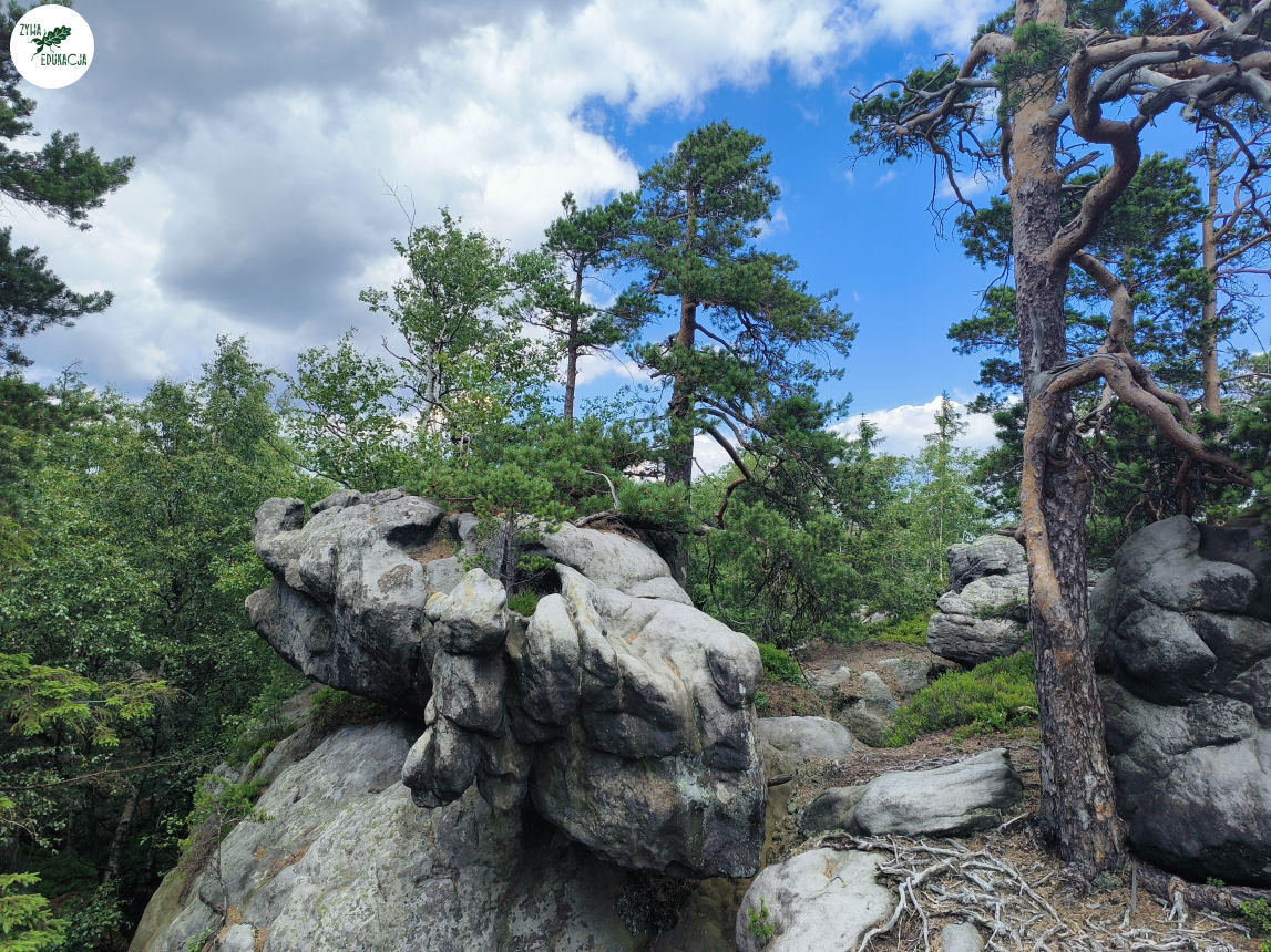 galeria Szczeliniec Wielki lipiec 2023