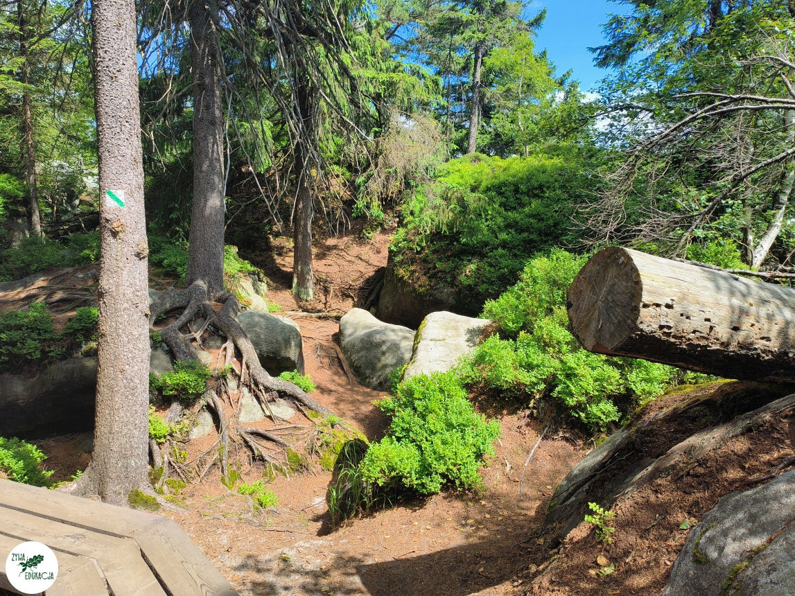 galeria Szczeliniec Wielki lipiec 2023