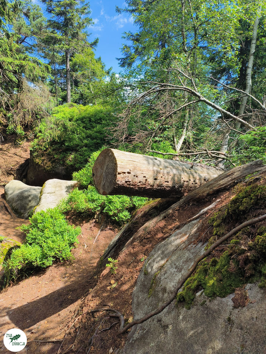 galeria Szczeliniec Wielki lipiec 2023