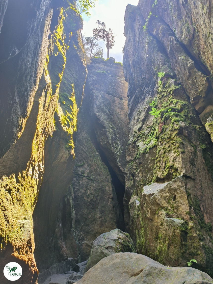 galeria Szczeliniec Wielki lipiec 2023