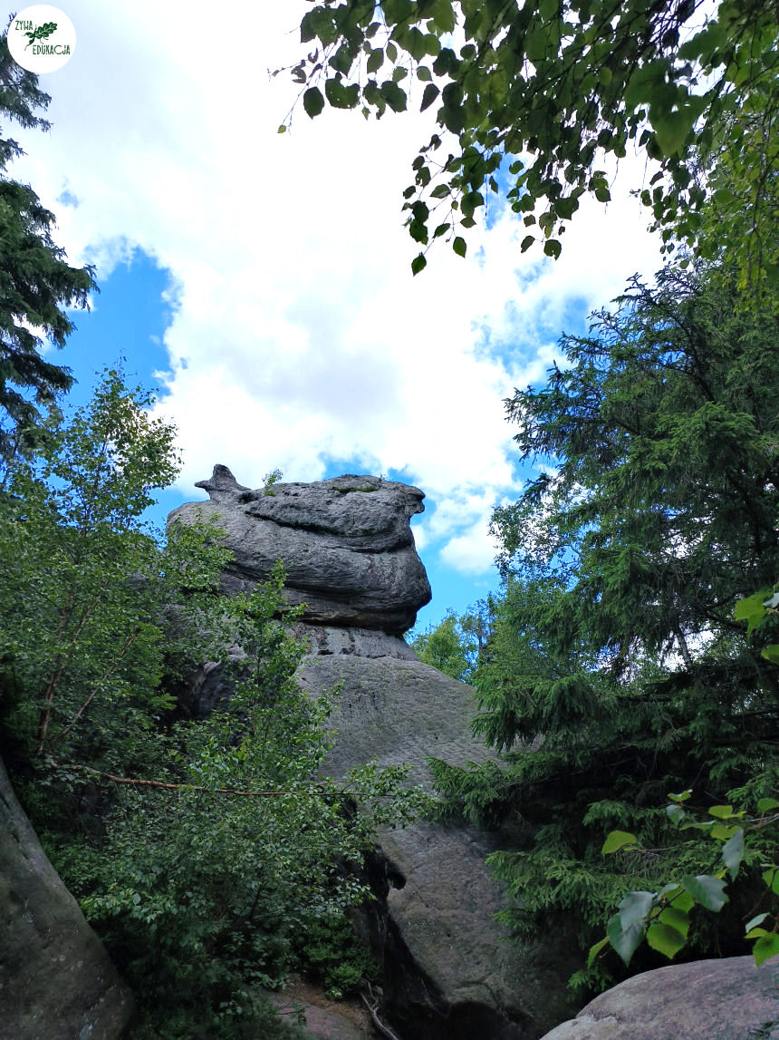galeria Szczeliniec Wielki lipiec 2023