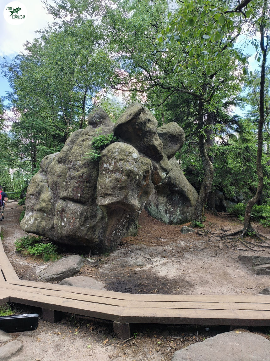 galeria Szczeliniec Wielki lipiec 2023