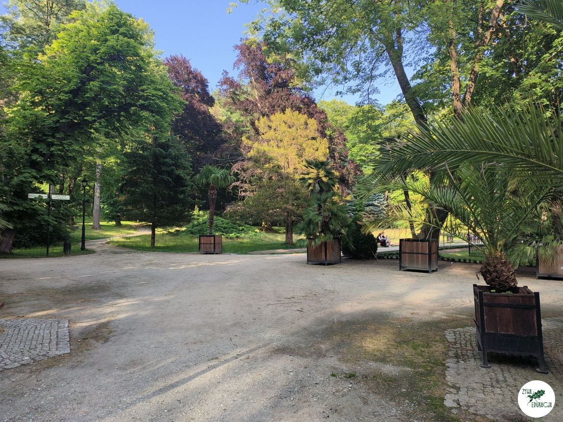 gory stolowe park zdrojowy kudowa zdrój