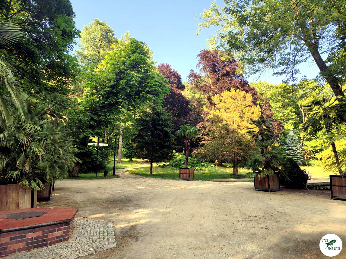 gory stolowe park zdrojowy kudowa zdrój