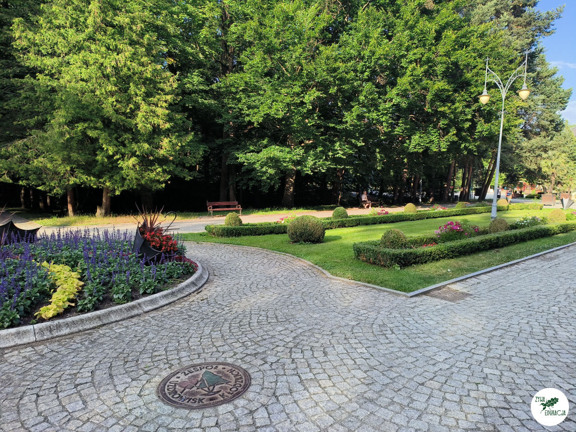 gory stolowe park zdrojowy kudowa zdrój