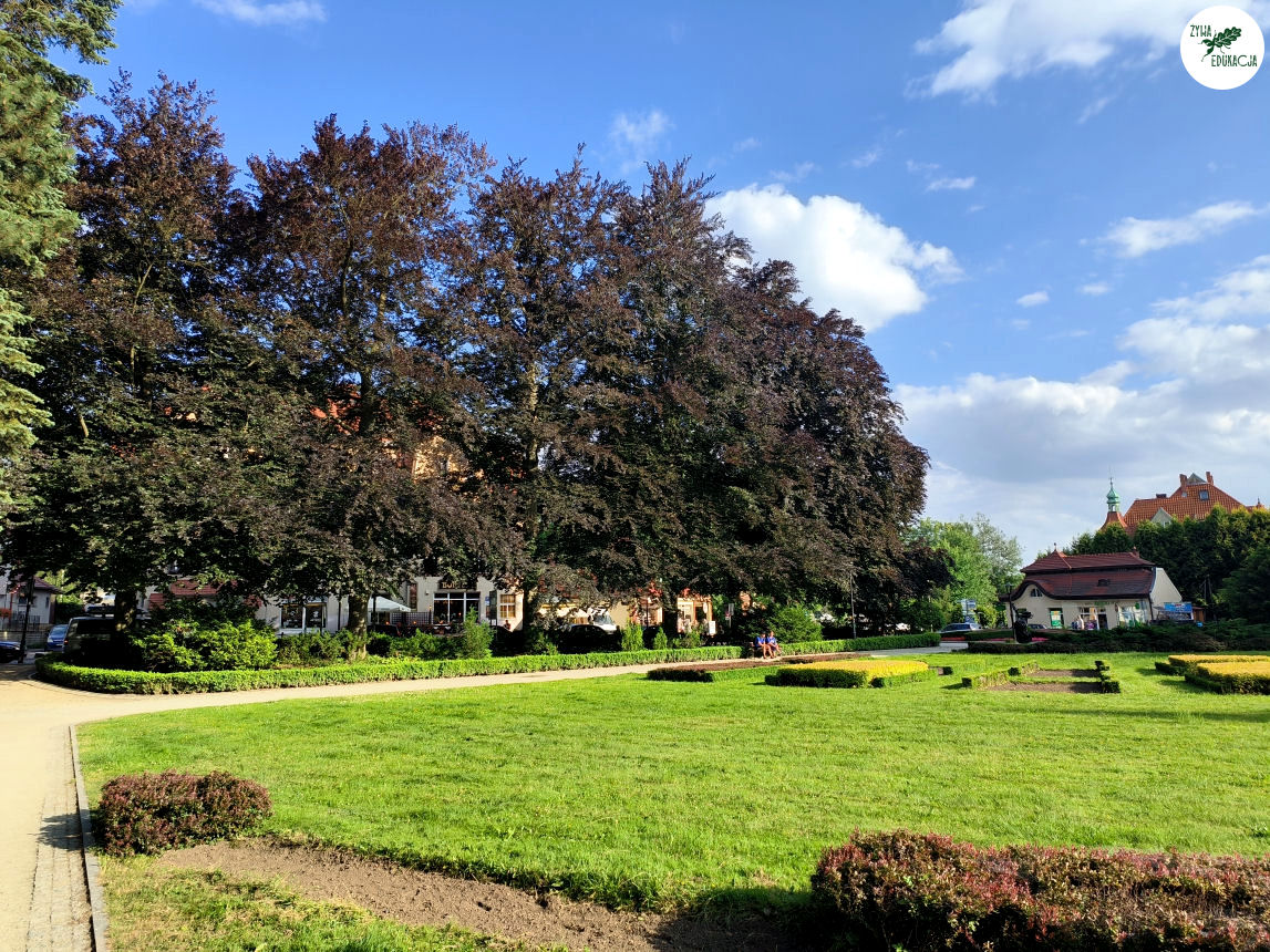 gory stolowe park zdrojowy kudowa zdrój