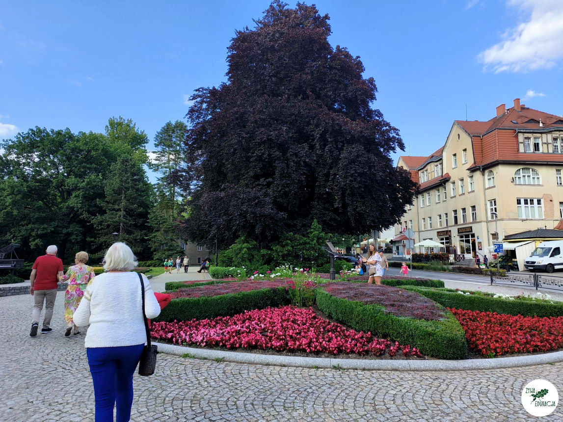 gory stolowe park zdrojowy kudowa zdrój