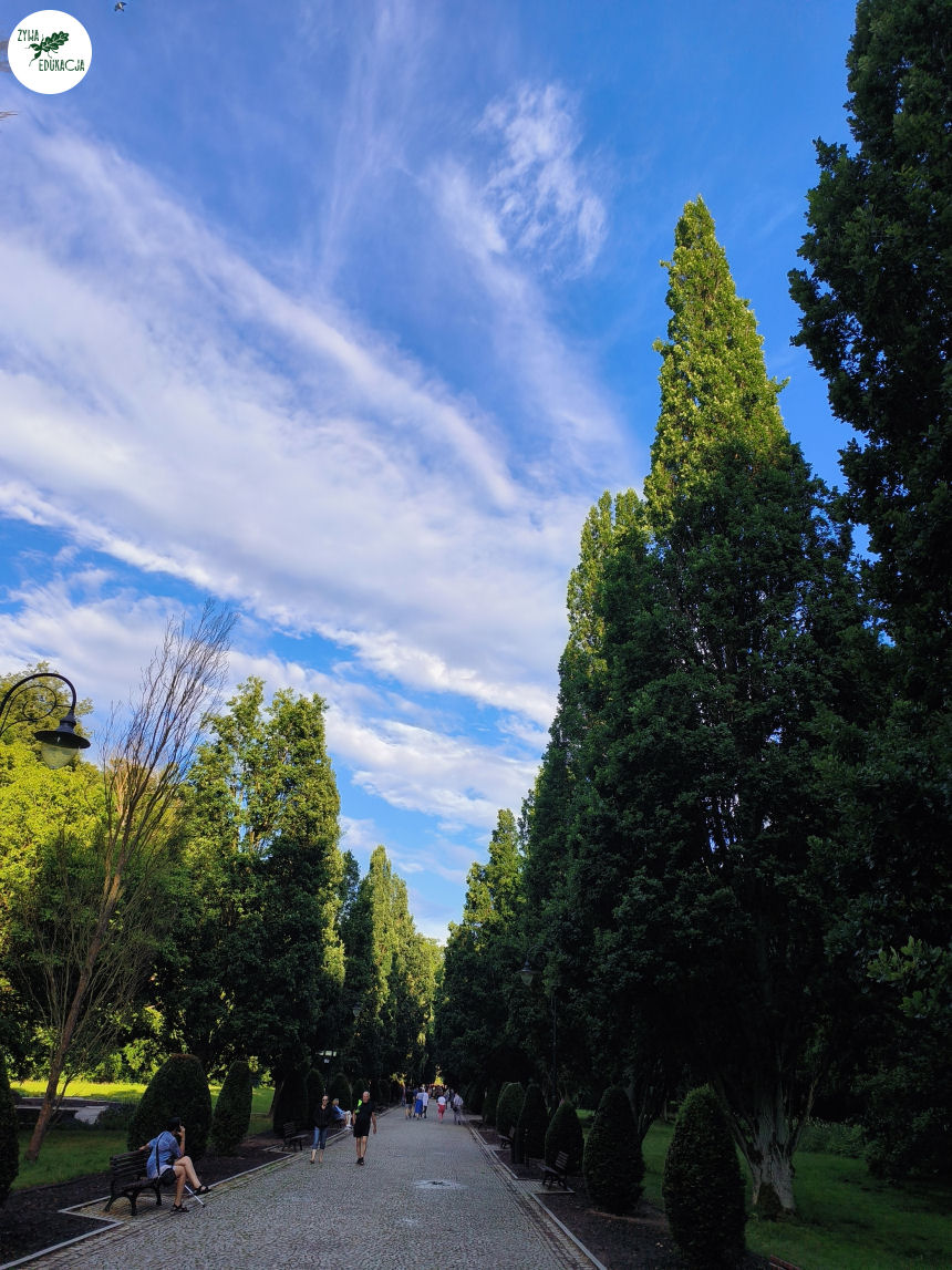 gory stolowe park zdrojowy kudowa zdrój
