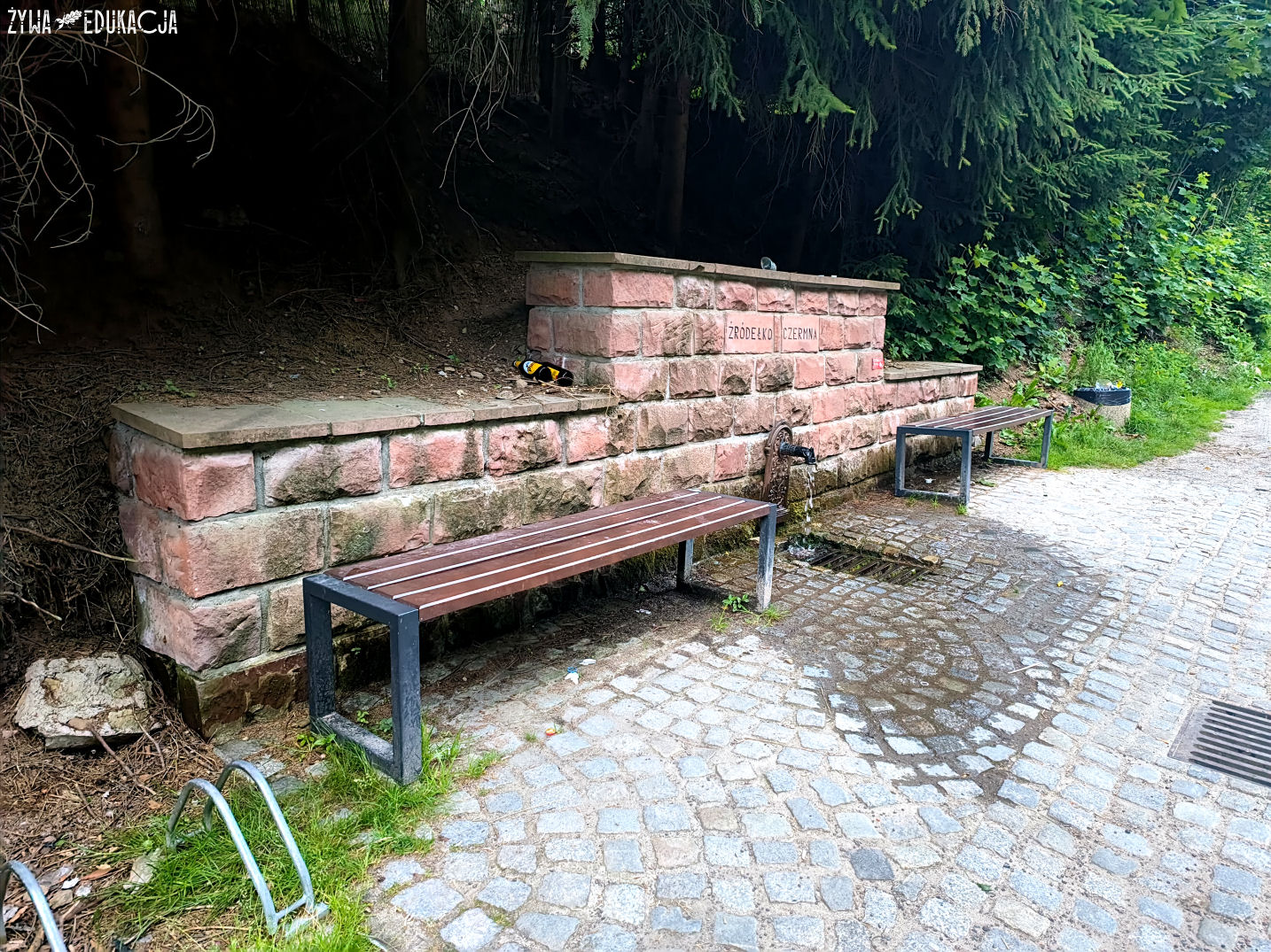 Kudowa Zdrój Czermna