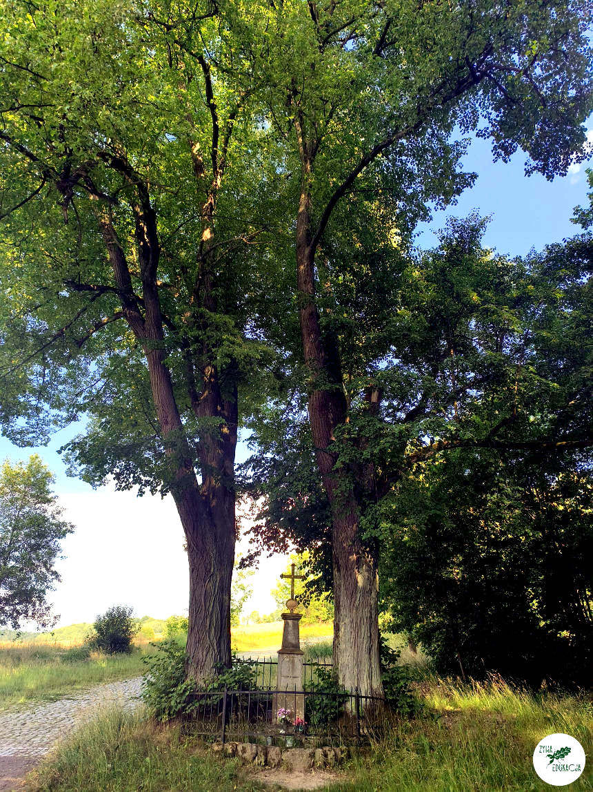 Kudowa Zdrój Czermna