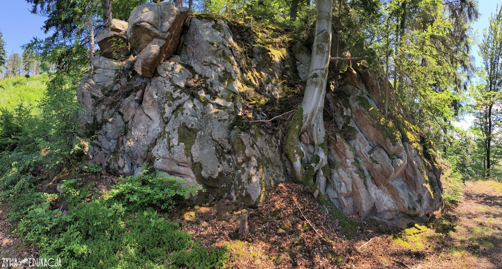 Kudowa Zdrój Czermna