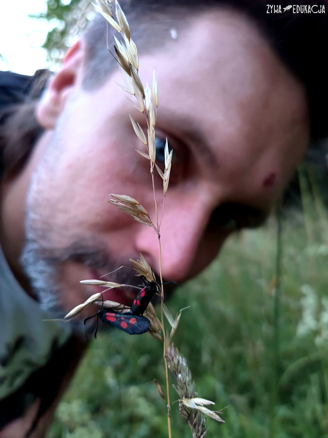 Kudowa Zdrój Czermna