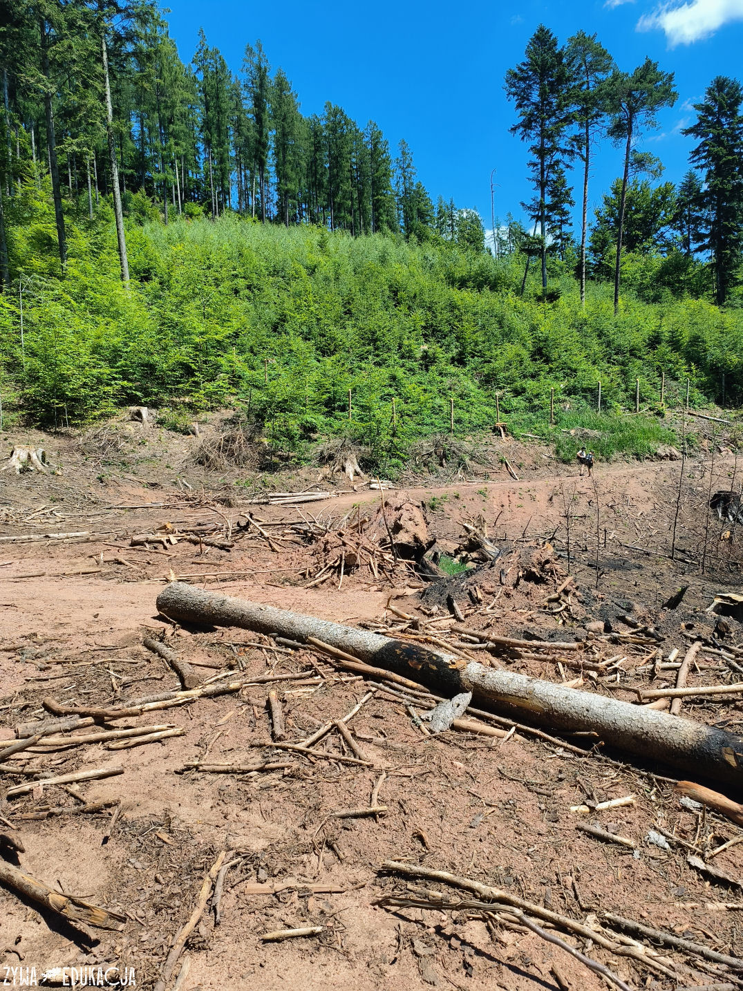 Kudowa Zdrój Czermna