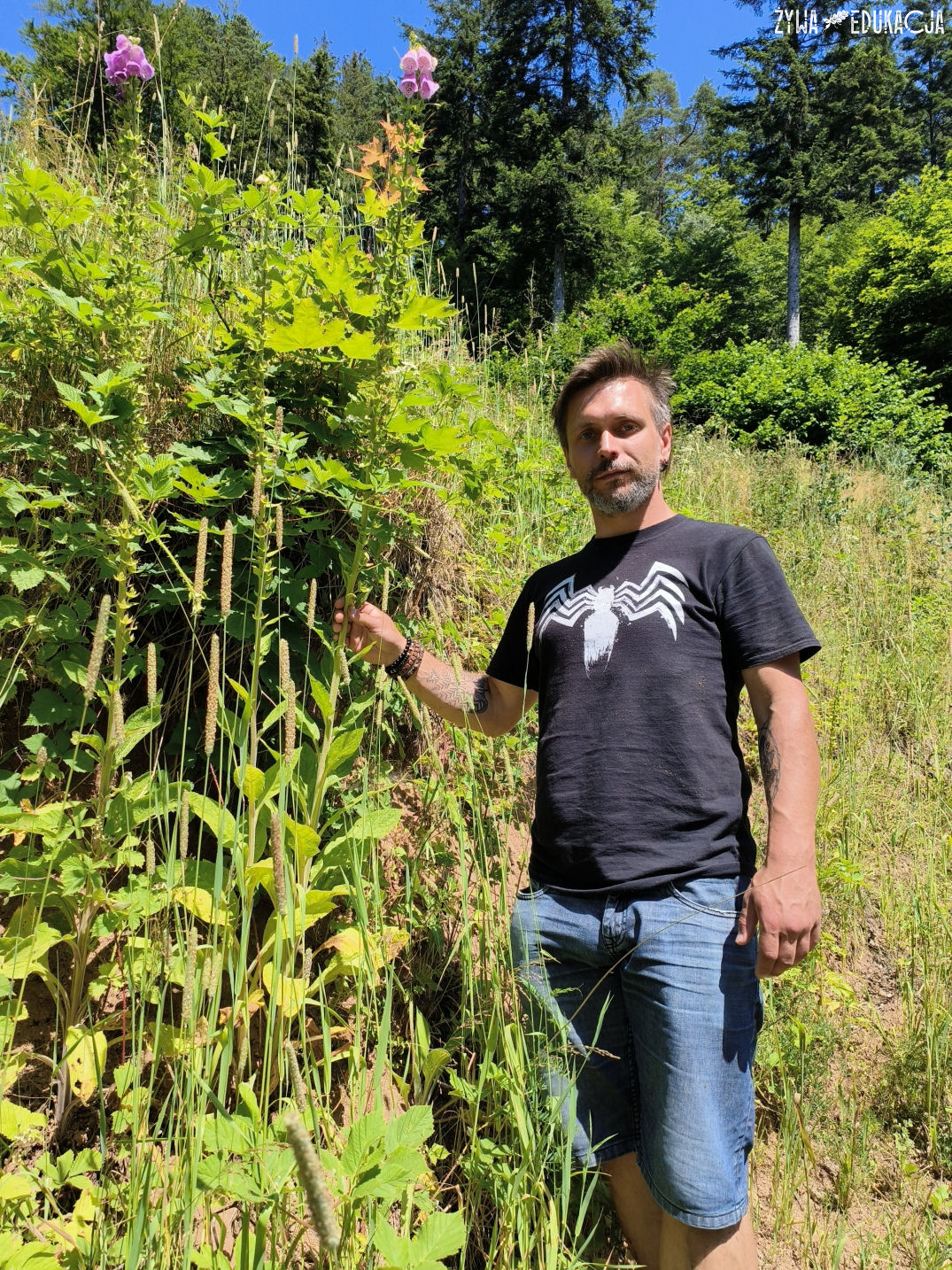 Kudowa Zdrój Czermna