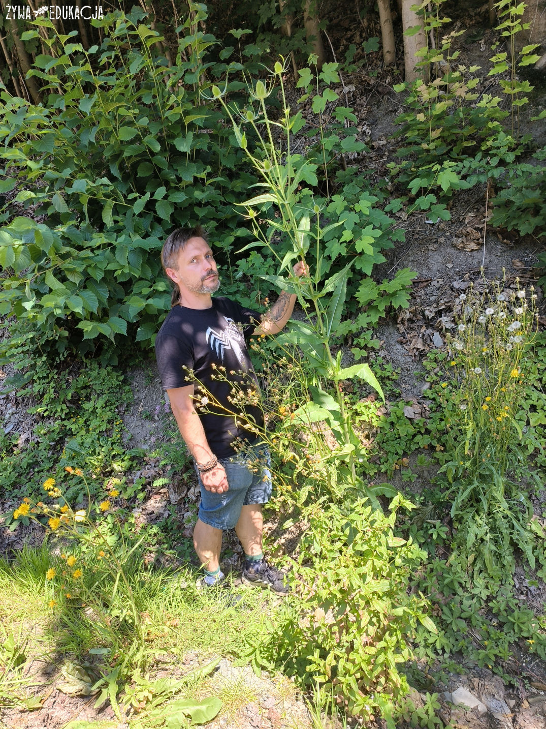 Kudowa Zdrój Czermna