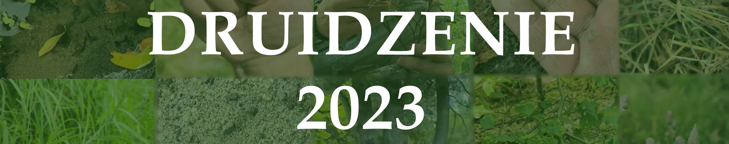 druidzenie 2023 baner