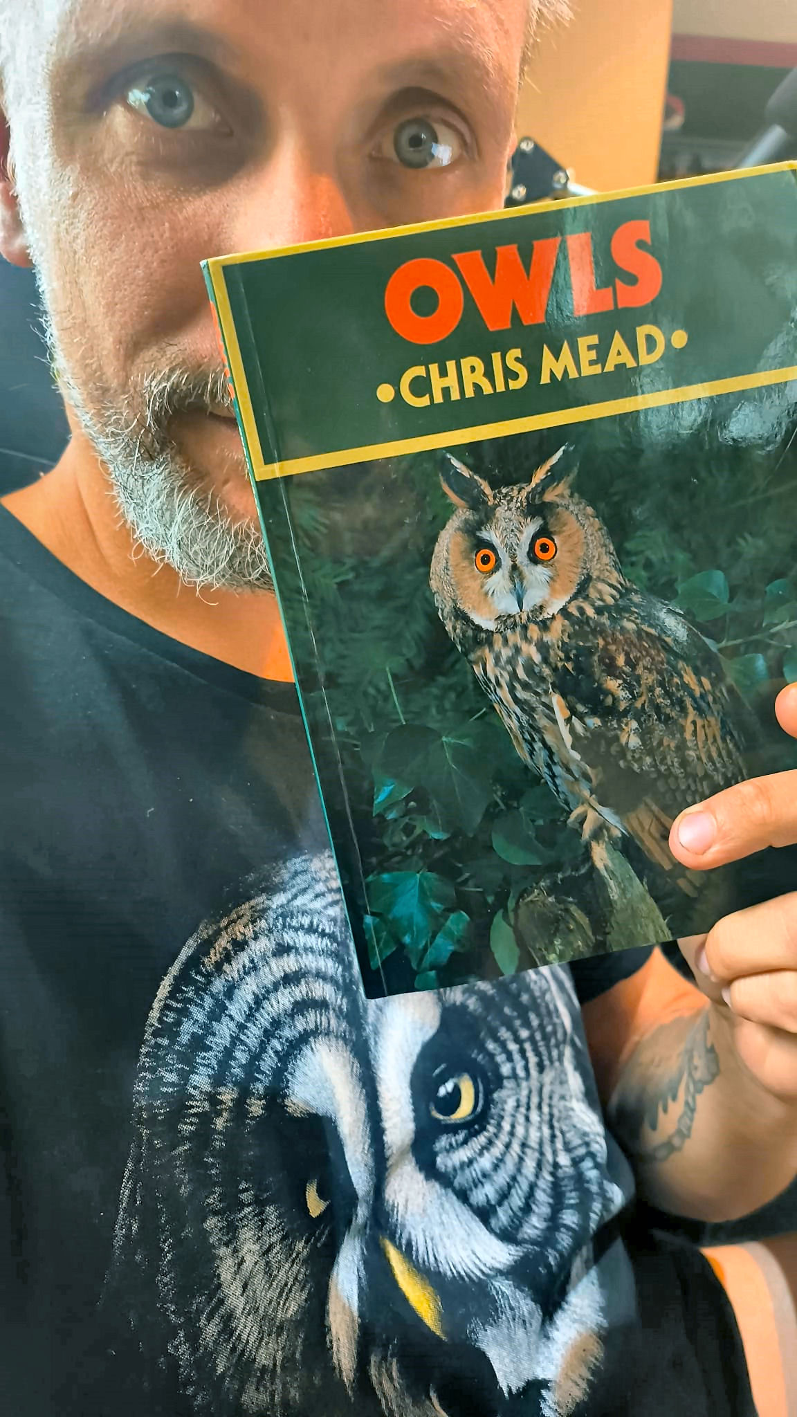 Chris Mead Owls książka sowy o sowach