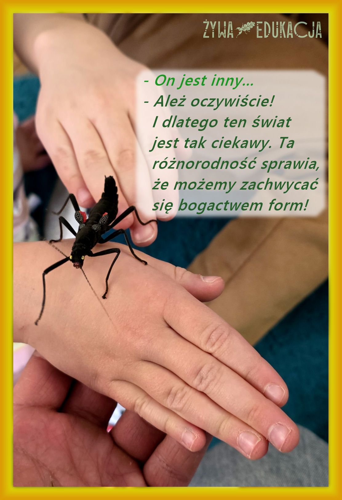 zajęcia przyrodnicze dla uczniów, dzieci, szkół i przedszkoli