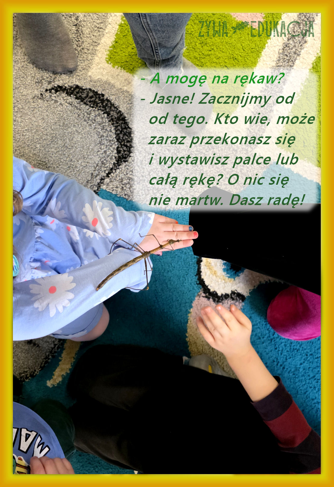 zajęcia przyrodnicze dla uczniów, dzieci, szkół i przedszkoli