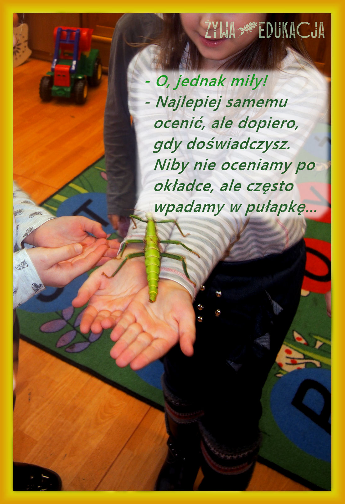 zajęcia przyrodnicze dla uczniów, dzieci, szkół i przedszkoli