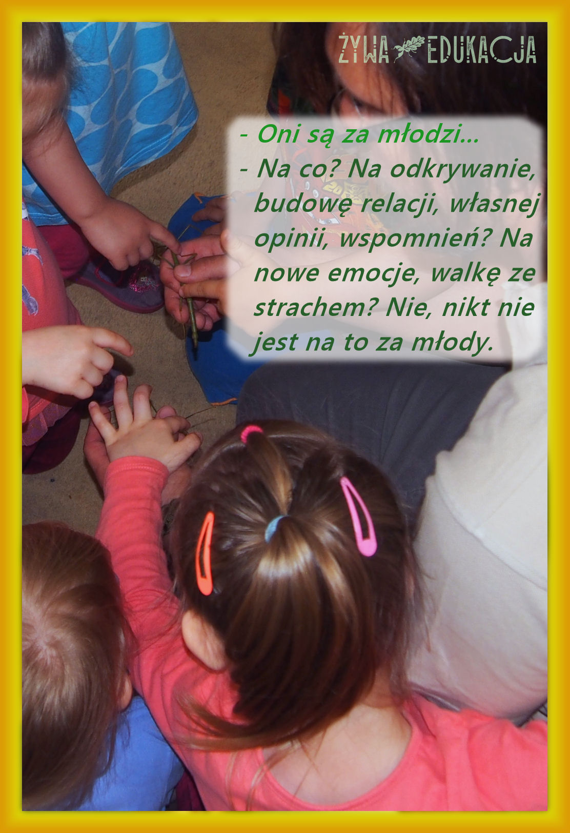 zajęcia przyrodnicze dla uczniów, dzieci, szkół i przedszkoli